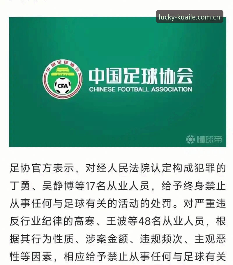足协第三批禁足名单详解：17人终身禁赛，48人遭行业重罚