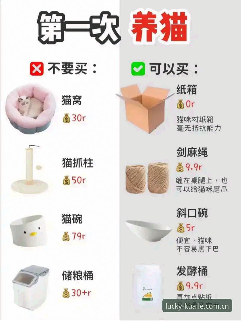 新手必看！资深用户分享快三在线投注平台教程与实战心得
